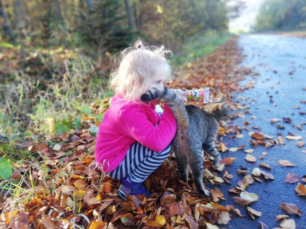 Orlik - Pokoje Goscinne Uscie Gorlickie Bagian luar foto